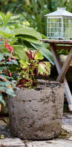 Pots that Rock!